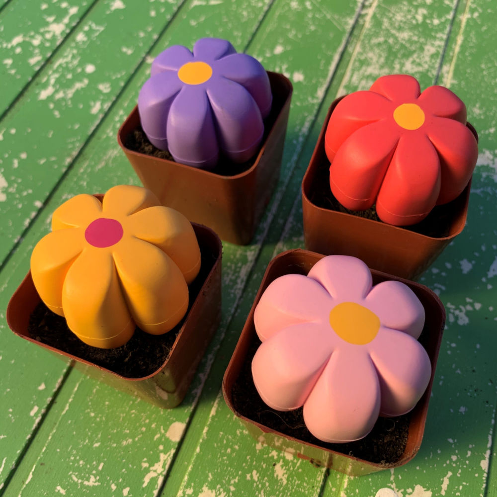 Moxi Petal Toe Stops